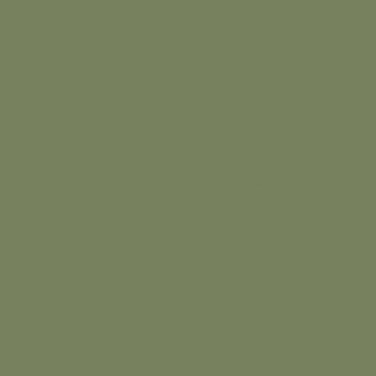Little Greene Sage Green 80 – Paint Online