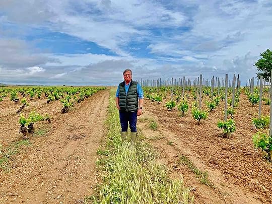 Peter Sisseck of Pingus standing in the vinyard