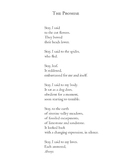 A poem by Jane Hirshfield, one of the best poets today