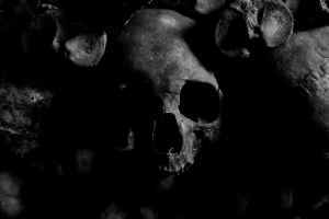 close up photo of skull