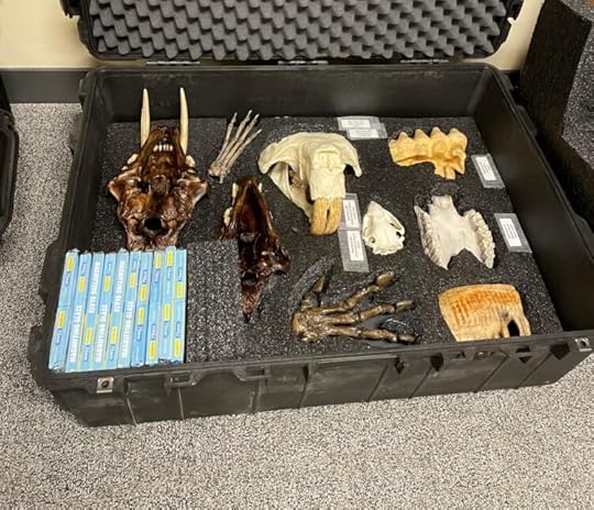 Pleistocene Teaching Kit - Junior Edition