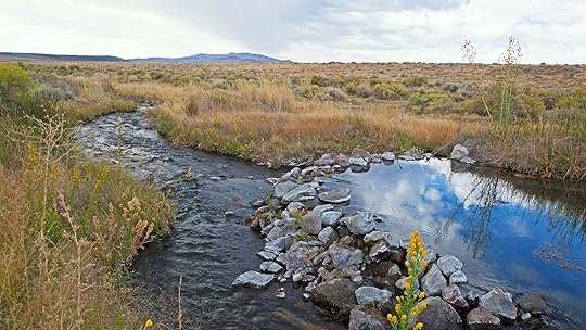 best hot springs in nevada soilder springs