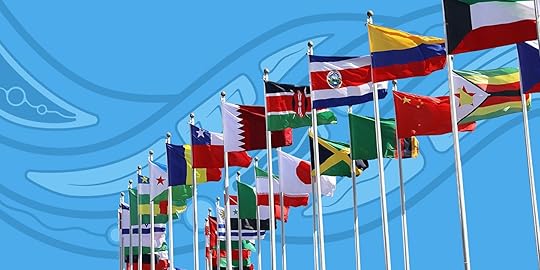 Working with the UN Declaration on the Rights of Indigenous Peoples