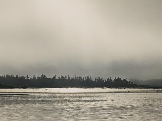 The fog you can see through