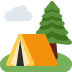 🏕