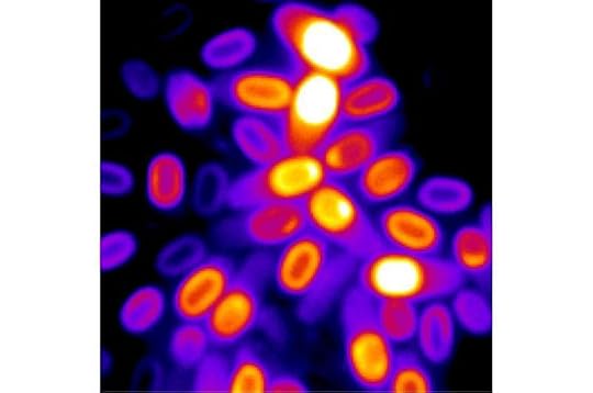 The thinking undead: How dormant bacteria calculate their return to life