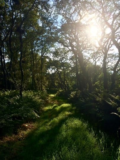 Autumn in Scotland