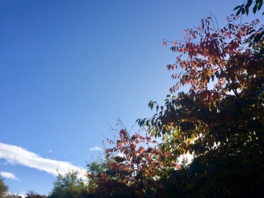 autumn in scotland
