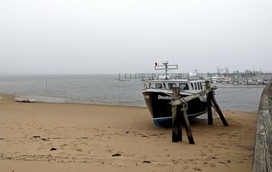 P-Town beaching