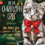 cat christmas anthology
