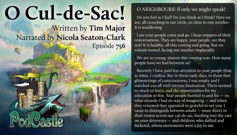 O Cul-de-Sac! by Tim Major