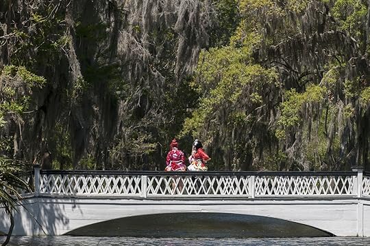 The famous Long White Bridge at Magnolia Plantation and Gardens in Charleston, South Carolina