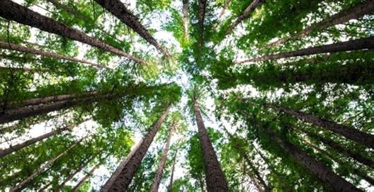 Trees in a circle representing resilience