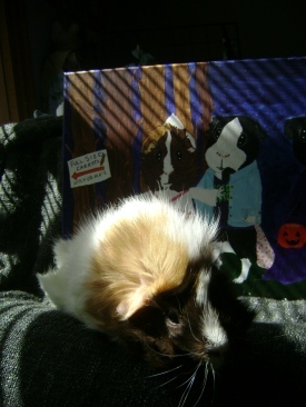 Rachel E Smith guinea pig Snuffy and painting I Remember Pigoween