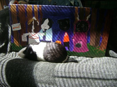 Rachel E Smith Thorfinnur guinea pig and I Remember Pigoween painting