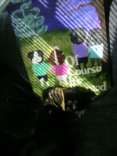 Rachel E Smith painting Of Course It's Haunted with guinea pigs Hen Wen and Salem