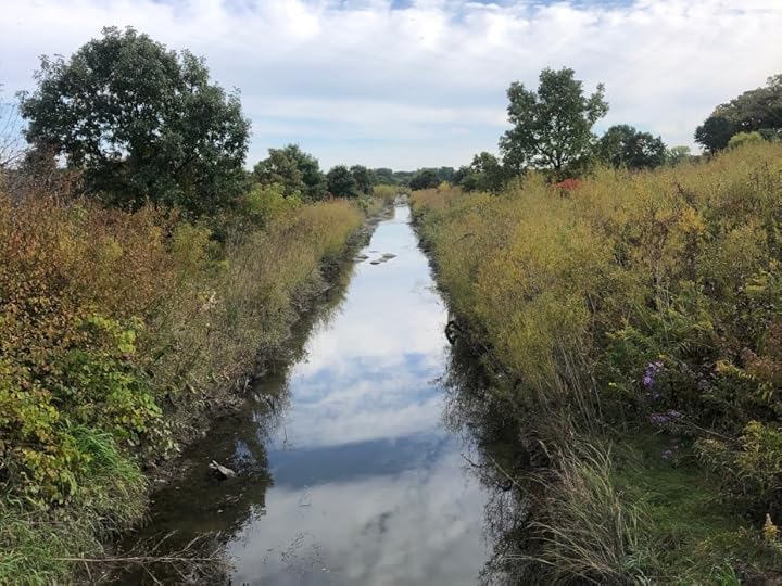 MIDDLEFORK SAVANNA, LAKE FOREST, ILLINOIS RIVER RIPARIAN SHORE EARLY AUTUMN