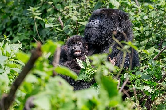 gorillagram mom and baby photo