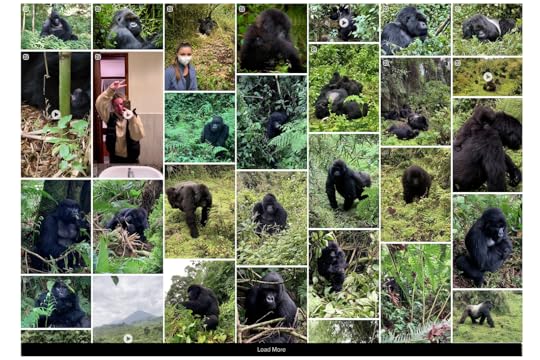 gorillagram screenshot