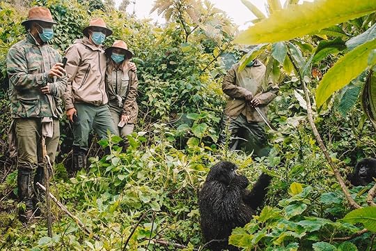 gorillagram people trekking
