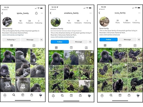 gorillagram accounts on instagram