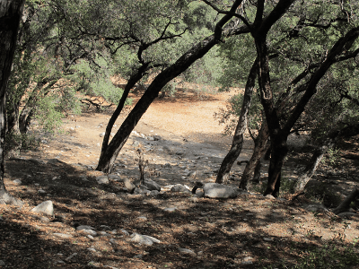 The Arroyo Seco near Pasadena