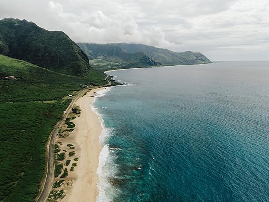 drone shot of hawaii beach