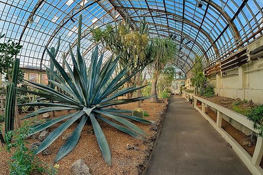 The Garfield Park Conservatory is one of the best things to do in Chicago