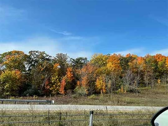 Wisconsin's fall foliage, Oct 2022