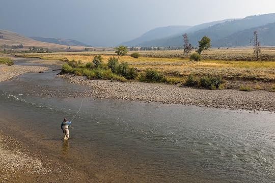 fishing best time to visit yellowstone