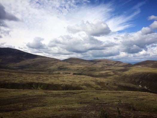 in the Cairngorms