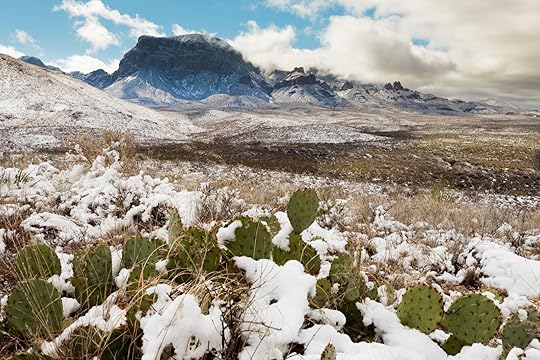 big bend national park to visit in winter