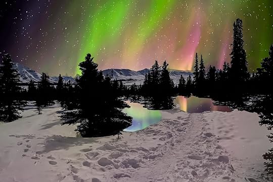 best-national-parks-to-visit-in-winter-denali
