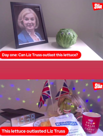 The photo is split into two. The top picture has a framed photo of Liz Truss next to a lettuce, with the caption, 'Day One: Can Liz truss outlast this lettuce?' Underneath is the second photo. The caption reads, 'The lettuce outlasted Liz Truss'. The framed photo has gone, the lettuce is wearing a blonde wig, there are disco lights, a Greggs bag with a pasty inside, Union Jack flags, and a 'Keep Calm and Carry on Mug'