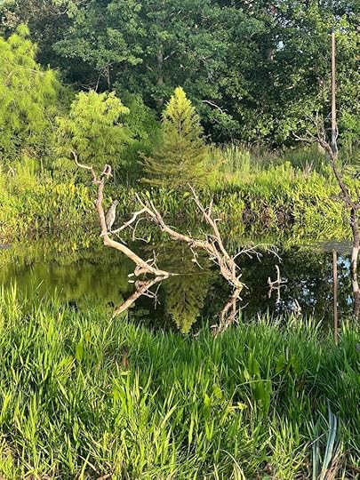 Houston Arboretum, Finding inspiration this fall