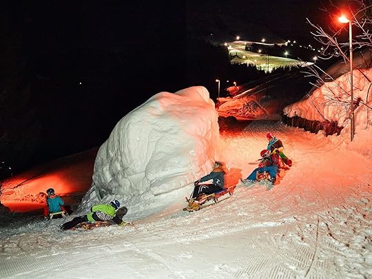 toboganning - skiing in the alps