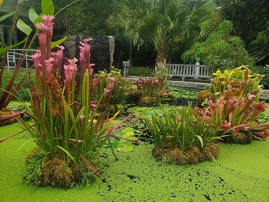 Athens Botanical Garden 1.jpg