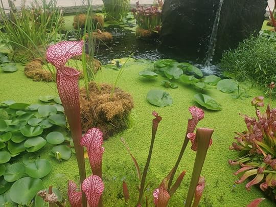 Athens Botanical Garden 2.jpg