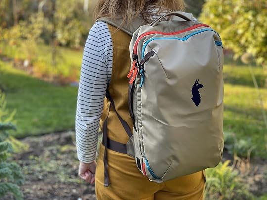 Cotopaxi bag: Allpa 28L Travel Pack