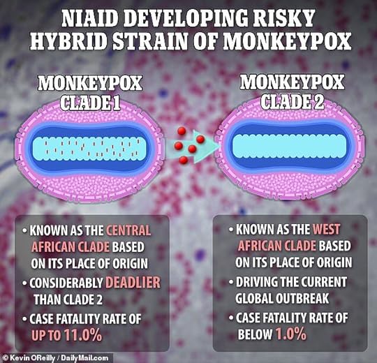 The Maryland study will involve extracting dozens genes from the more severe clade 1 (pictured left) monkeypox virus and putting them into the less virulent clade 2 virus. They will then infect mice with the hybrid virus and monitor how the disease progresses