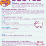 halloween myth infographic