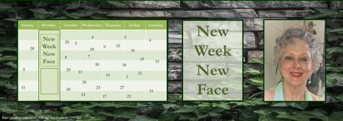 102822 - guest post - banner