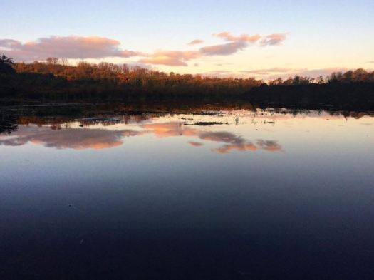 blue loch and a book slae