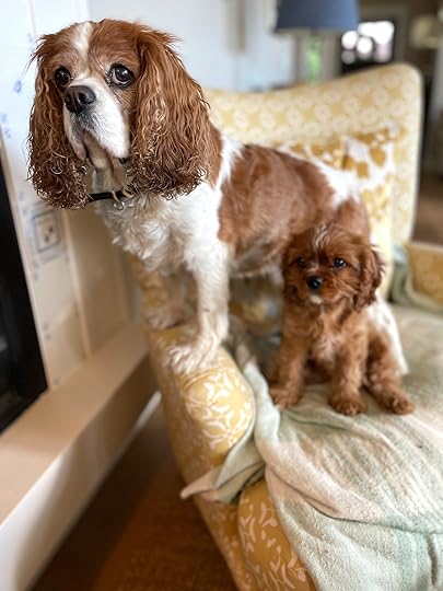 thesimplyluxuriouslife.com | The Simply Luxurious Life