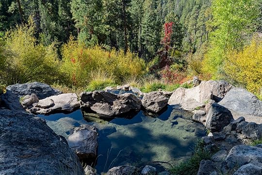 new mexico pool
