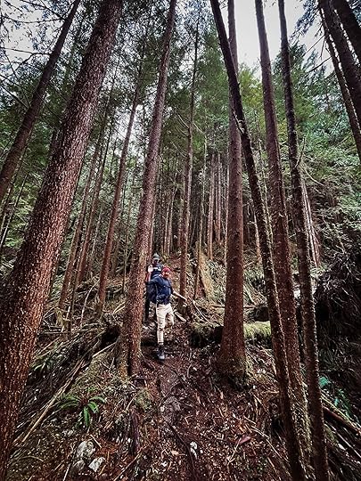 hiking near clayoquot wilderness lodge