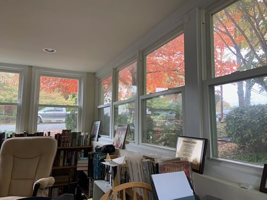 A view of the same tree from inside my home office.
