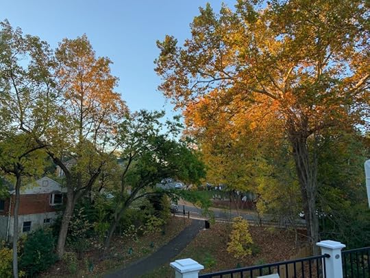 Fall sunrise colors on the back deck.