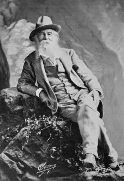 Walt Whitman Paints Beautiful Poetry and a Deathless Attachment to Freedom