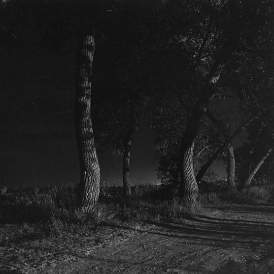 from <i>Summer Nights Walking, 1976-1982</i>(c) Robert Adams